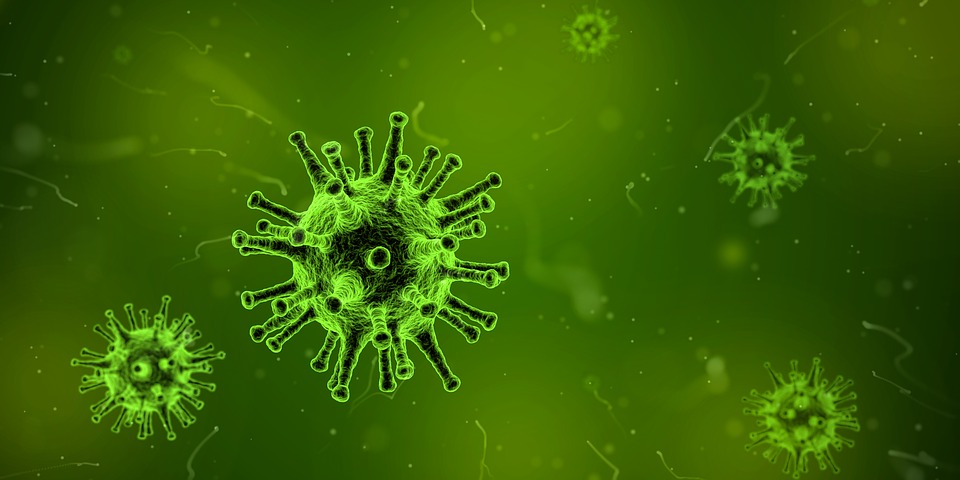 Óriásvírusok vizsgálatát végzik az ELTE kutatói