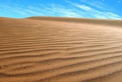 Magyar kutatók igazolták óriásvírusok sós sivatagbeli jelenlétét
